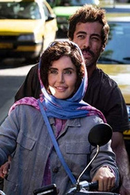 گوزن های اتوبان