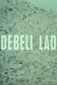 Debeli lad
