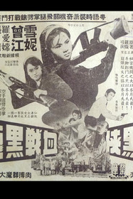 女黑俠血戰黑龍黨