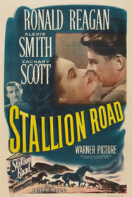 Stallion Road