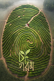 চা গরম