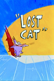Lost Cat