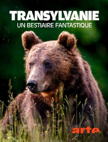 Transylvanie, un bestiaire fantastique