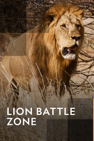 Lion Battle Zone