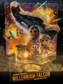 Star Wars: Millennium Falcon - Smuggler's Run