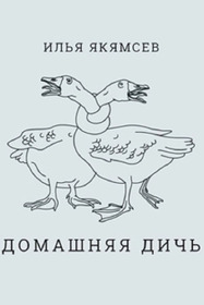 Илья Якямсев: Домашняя дичь
