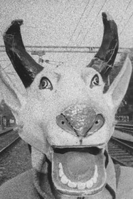 The Kali of Emergency