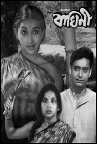 Baghini