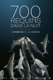 700 requins dans la nuit (Gombessa 4, la genèse)
