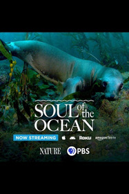 Soul of the Ocean