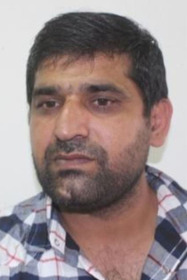 The Pigeons of Lahore