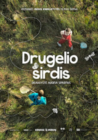 Drugelio širdis