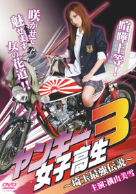 ヤンキー女子高生3 ～埼玉最強伝説～