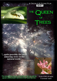The Queen of Trees