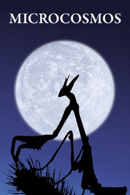 Microcosmos