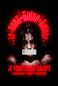 Je vous salue salope : La misogynie au temps du numérique
