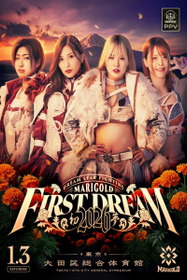 Marigold First Dream 2026