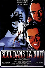 Seul dans la nuit