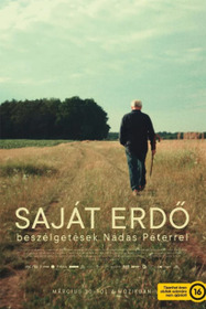Saját erdő