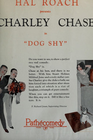 Dog Shy