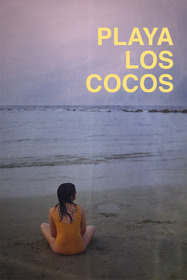 Playa Los Cocos