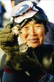 Diving Women of Jeju-do