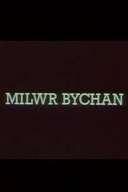 Milwr Bychan
