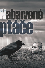 Раскрашенная птица