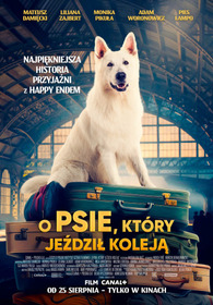 Lampo, the Travelling Dog