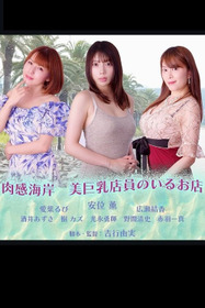 Nikuka Coast: A Shop With Beautiful Busty Staff