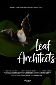 Leaf Architects