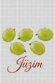 Jüzim