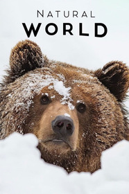 France: The Wild Side