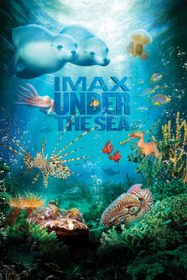 Under the Sea 3D