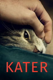 Кот