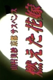山村美紗京都サスペンス　燃えた花嫁