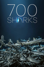 700 Sharks