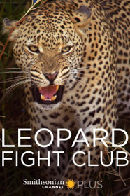 Leopard Fight Club