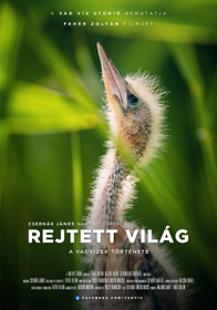 Rejtett világ - A vadvizek története