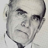 Vittorio Caprioli — Il professore