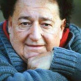 Giorgio Ariani — Politico