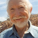 Дональд Элсон — Man on Street