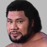 Tonga Fifita — Meng