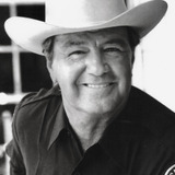 Ron Masak — Nick Riccardo