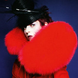 Isabella Blow — Antonia Cook