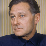 Poul Reichhardt — Journalist Daniel Jensen