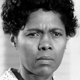 Estelle Evans — Calpurnia