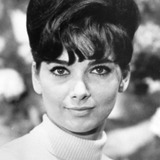 Suzanne Pleshette — Annie Hayworth