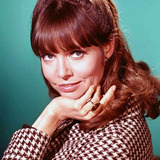 Barbara Feldon — Girl in TV Commercial (uncredited)