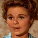 Sara Lane — Kit